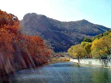 新澳门二四六天天彩，普圆钢